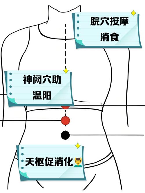 成人积食按摩哪个穴位