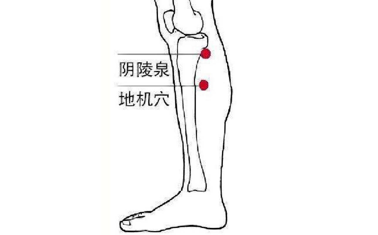 子宫肌瘤穴位按摩视频