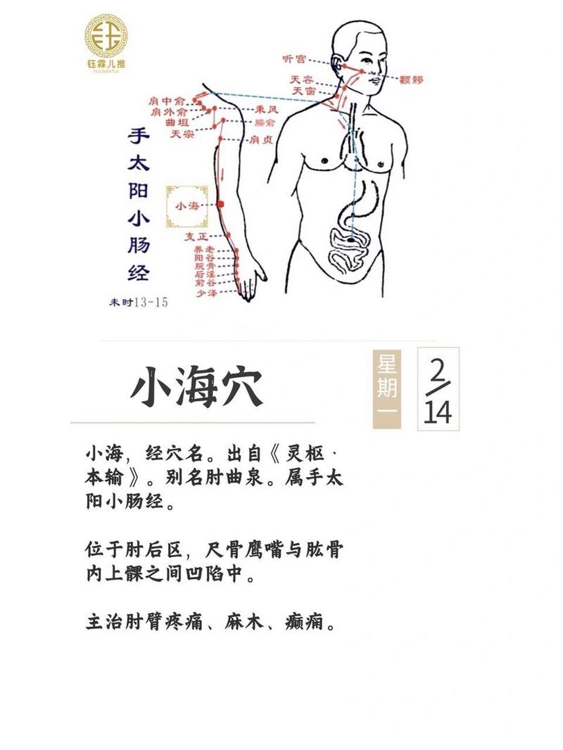 胳膊发麻按摩哪些穴位