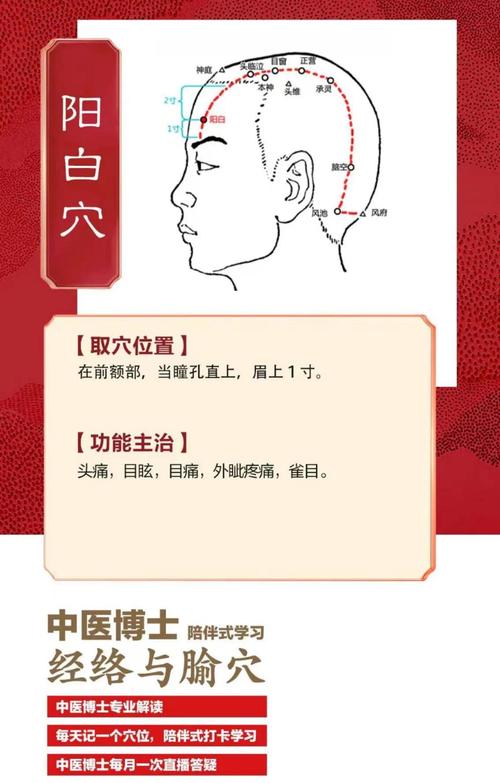 什么穴位可以治疗白发