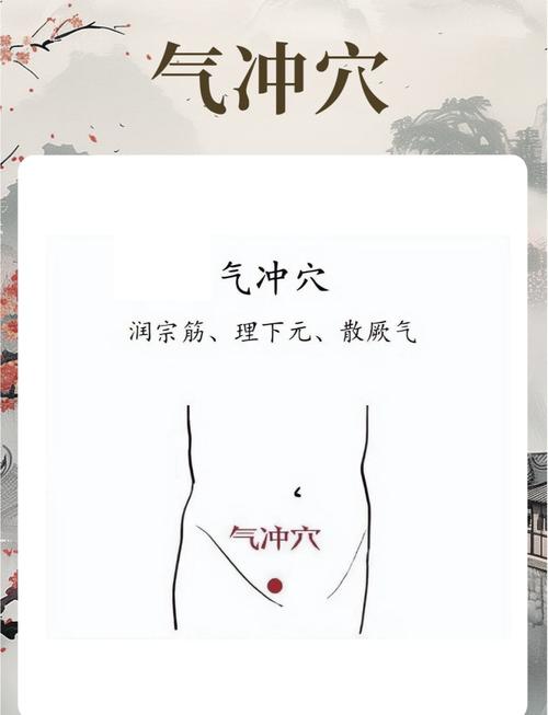 腹股沟有什么重要穴位