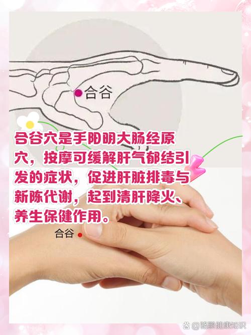 保护肝脏按摩哪个穴位