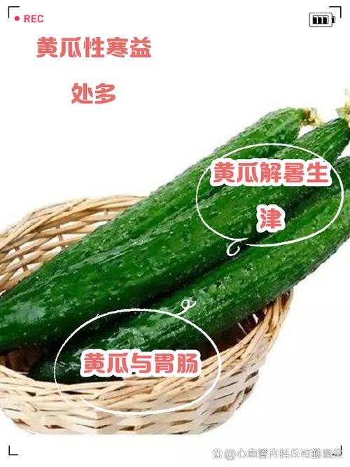 风湿类风湿可以吃黄瓜吗