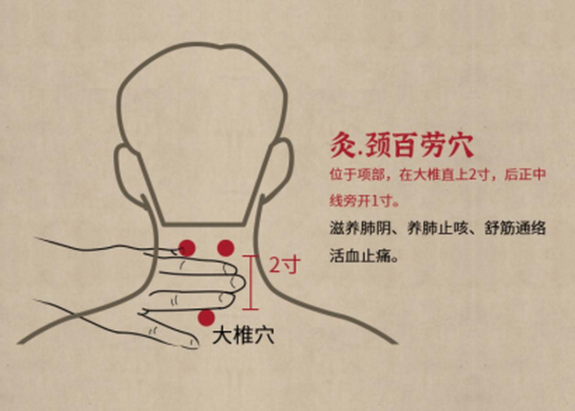 舒筋活血哪个穴位最好