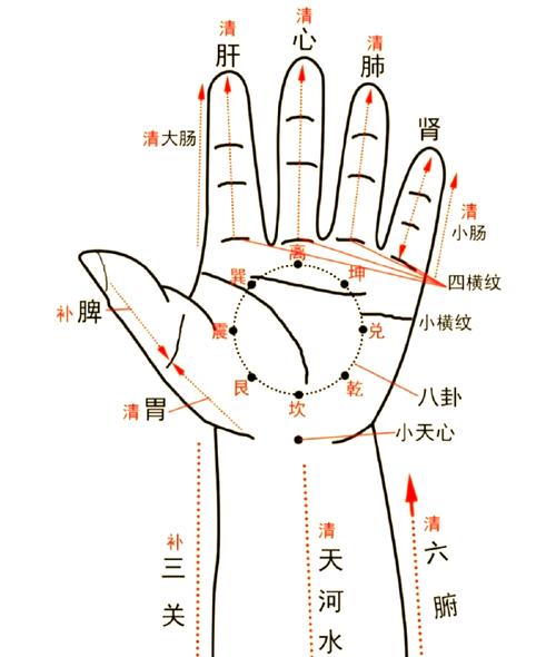 刺激穴位治疗小儿疳积