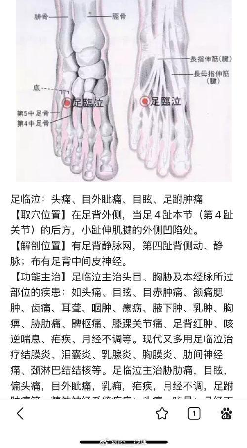 脚上哪个穴位主治眼花