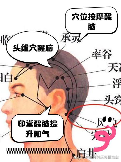 按摩头部怎么按摩穴位