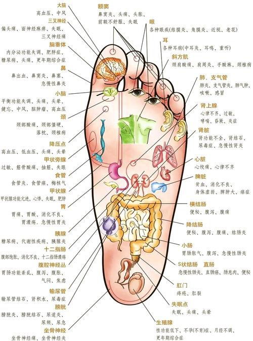 足部穴位都有什么作用
