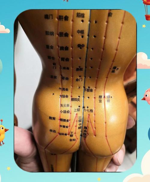 妇科瘙痒艾灸什么穴位