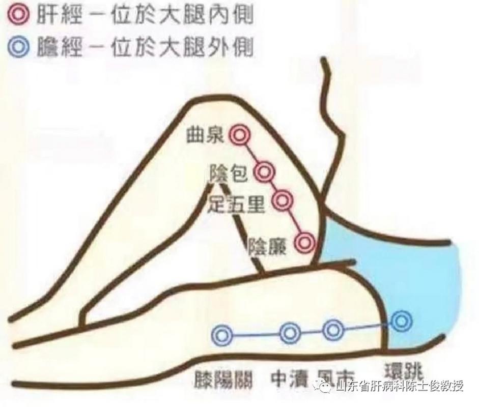 大腿内侧穴位按压颗粒