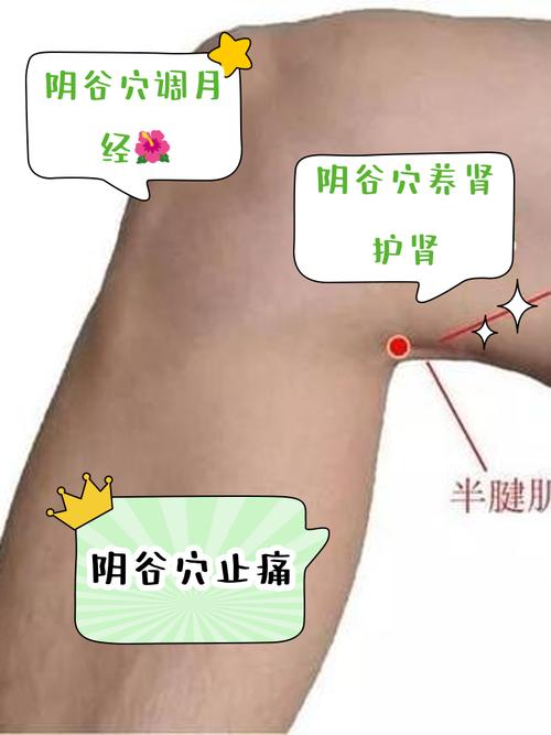 大腿内侧穴位按压颗粒