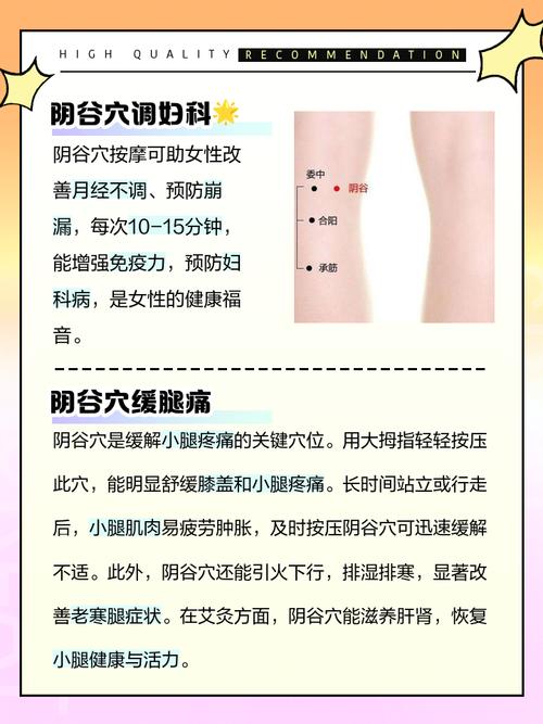 大腿内侧穴位按压颗粒