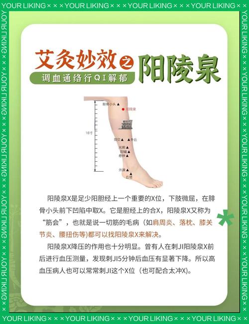 阳陵泉穴位有什么作用