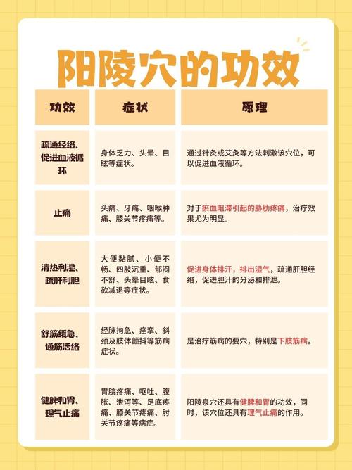 阳陵泉穴位有什么作用