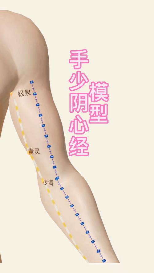 手少阴心经 穴位密码