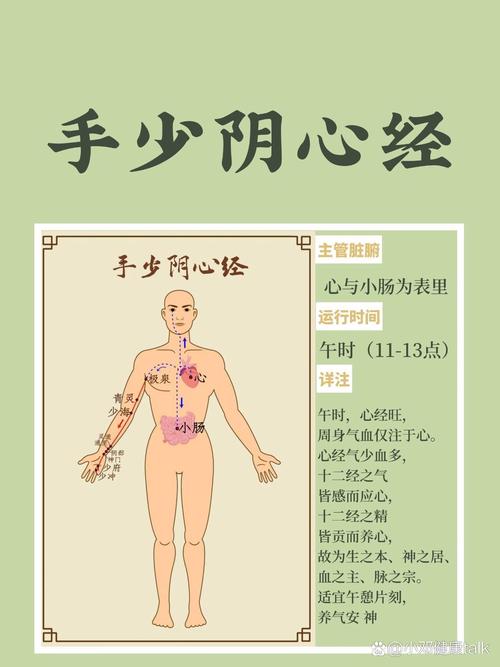 手少阴心经 穴位密码