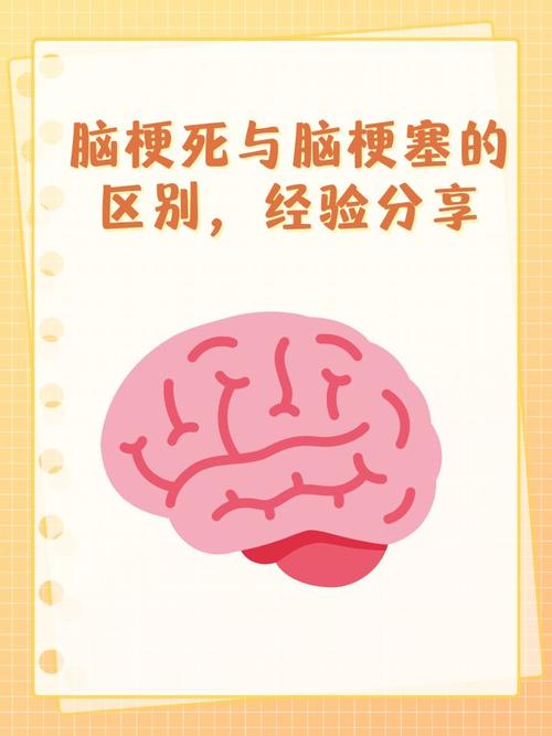 小脑梗和轻微脑梗的区别