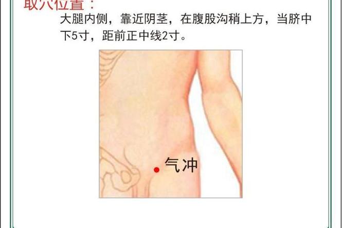 睾丸 缩入腹内 穴位