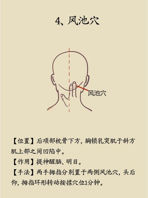 小孩弱视按摩什么穴位