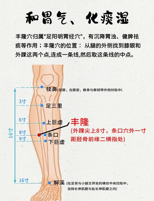 下肢水肿针灸哪些穴位