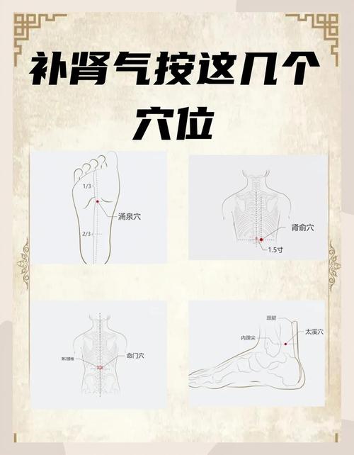 肾不好 要按哪些穴位