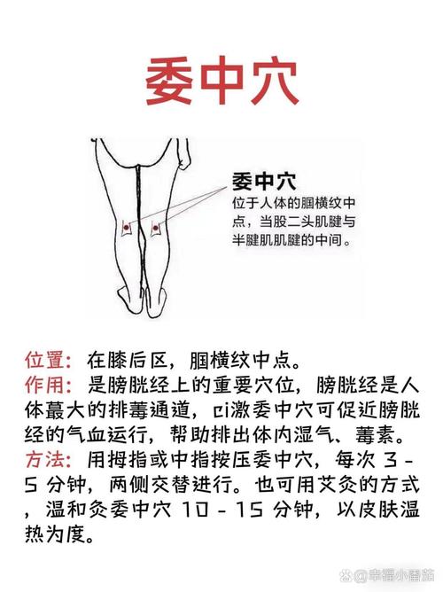 恶心需要刺激哪个穴位