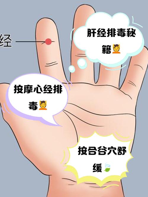 恶心需要刺激哪个穴位