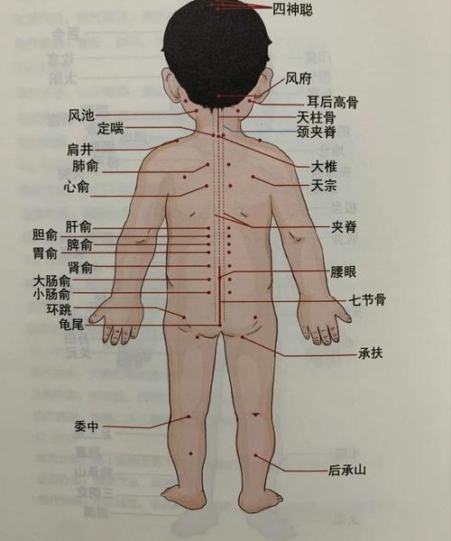小儿惊厥按穴位 图片