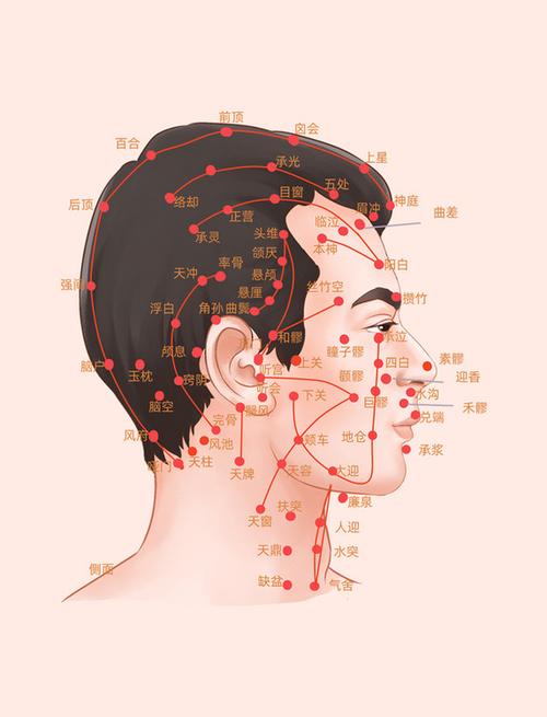 左侧头顶对应什么穴位