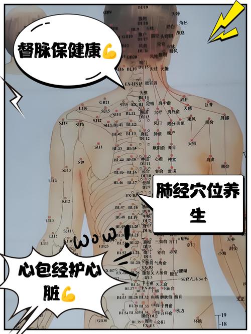 人体背部穴位按摩视频