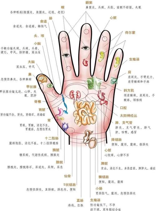 手风湿经络手风湿经络弯