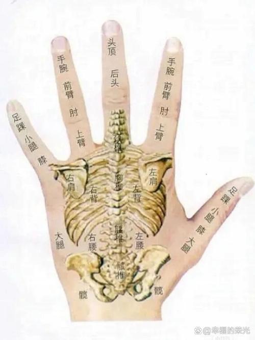 手风湿经络手风湿经络弯