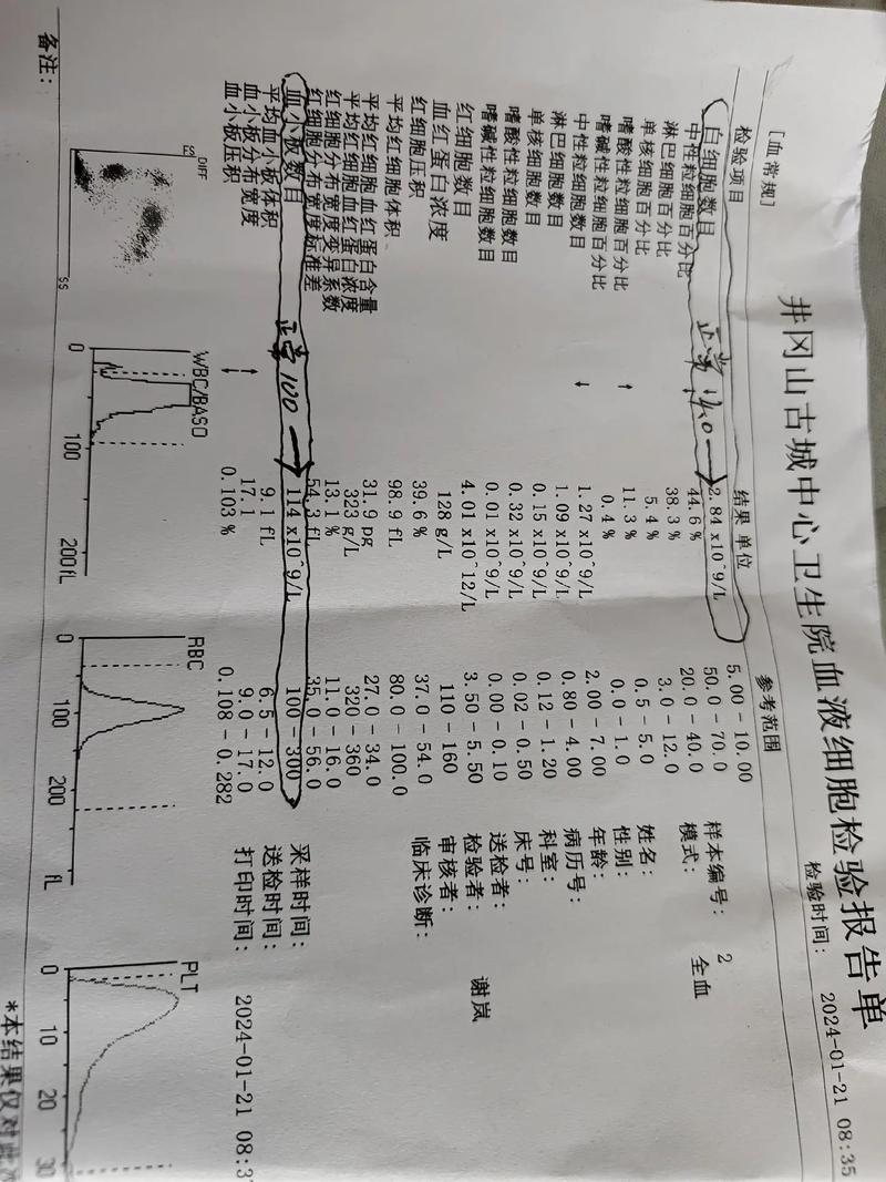 风湿和类风湿 白细胞低
