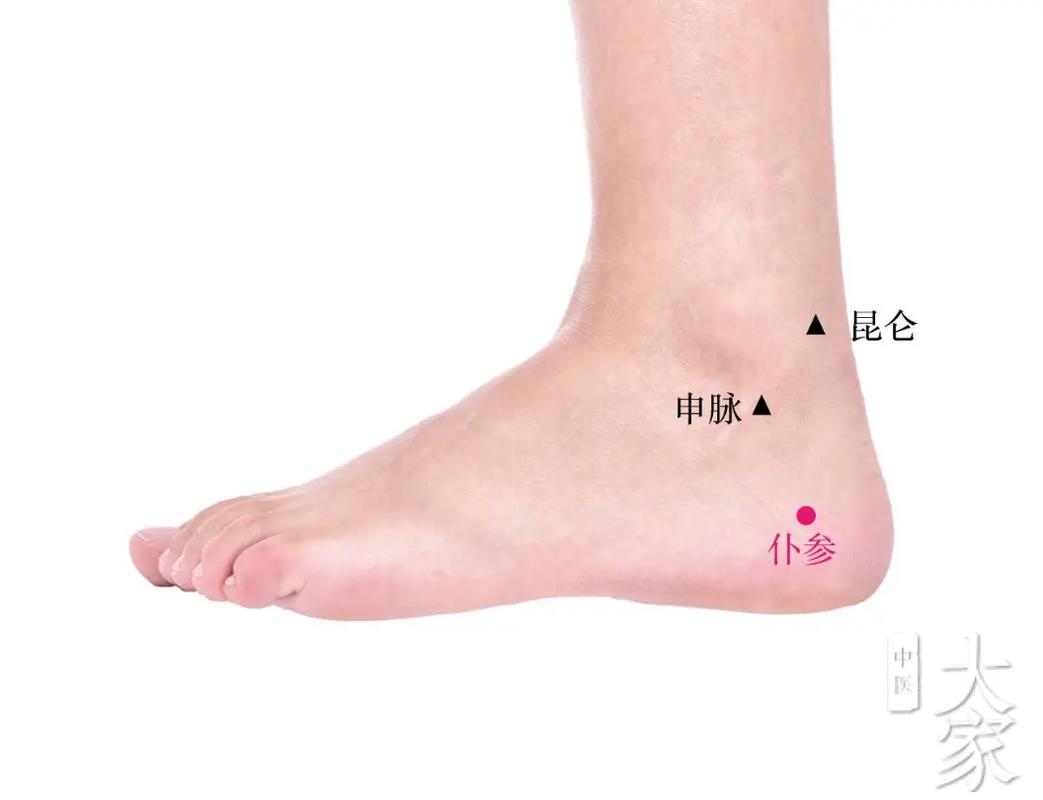 人体穴位 仆参 申脈