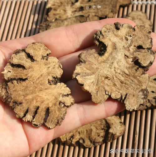 手麻 心梗 脑梗 中药