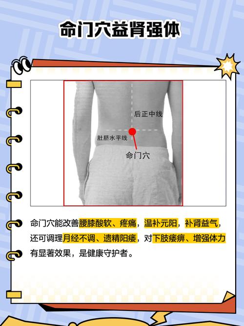 如何找准穴位 命门穴