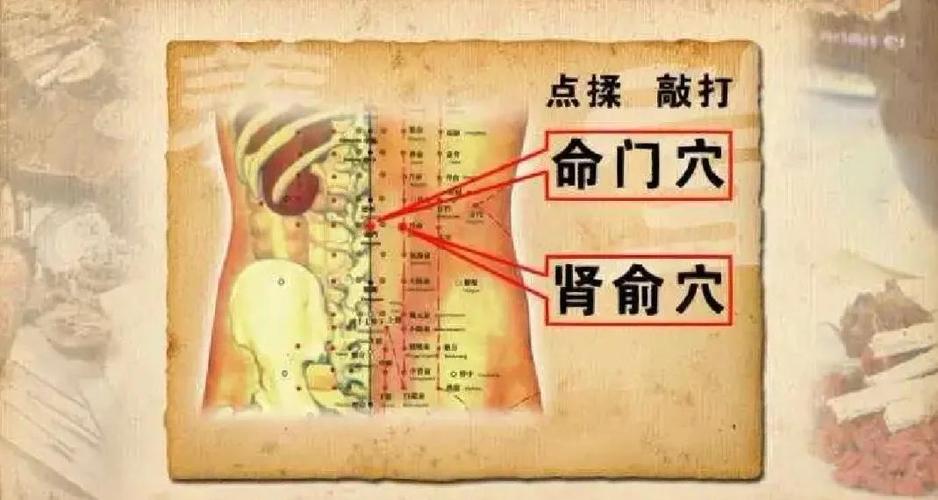 如何找准穴位 命门穴