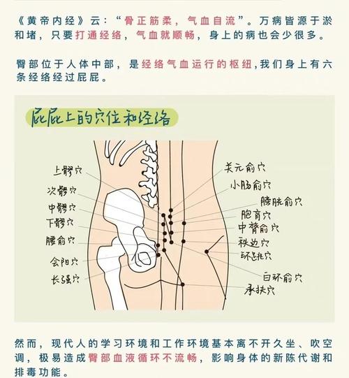 臀部穴位代表哪里不好