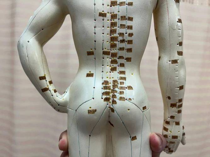 臀部穴位代表哪里不好