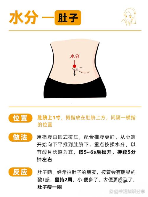 肚子哪个穴位可以减肥