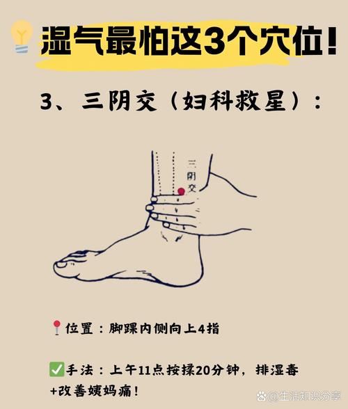 体内湿热按摩什么穴位