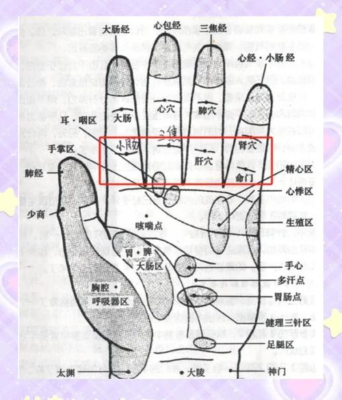 按摩哪个穴位治疗脾胃
