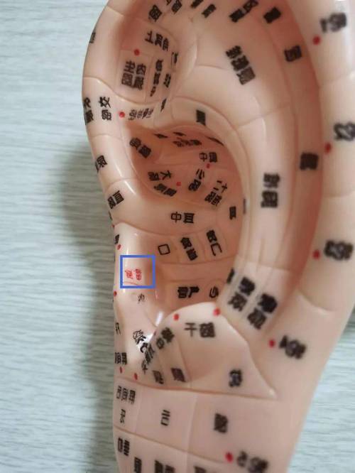 咳嗽按摩耳朵哪个穴位