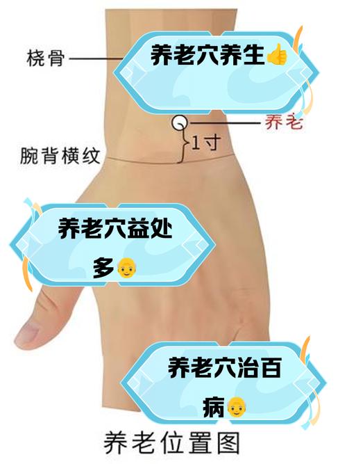 什么穴位可以延缓衰老