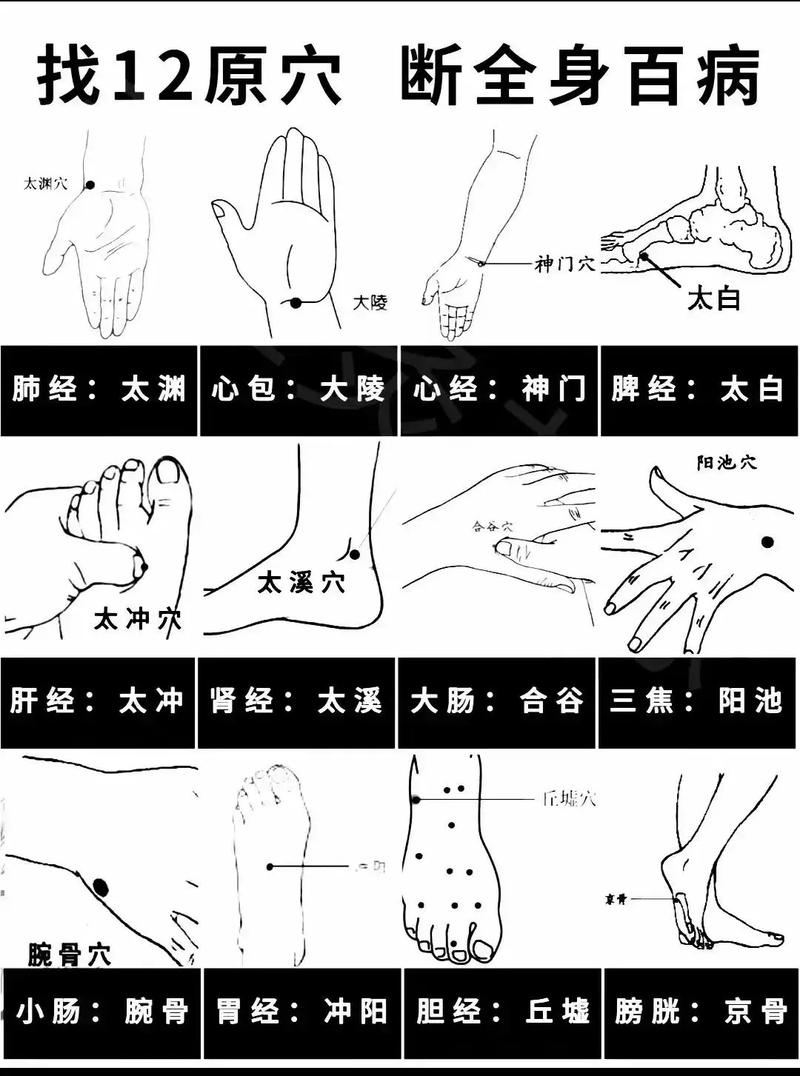 flash版穴位图解