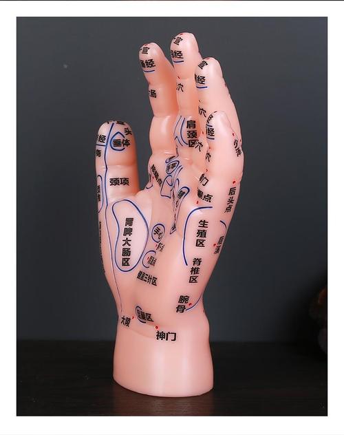 手背针灸穴位图 高清