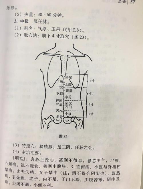 艾炙哪个穴位提高性欲