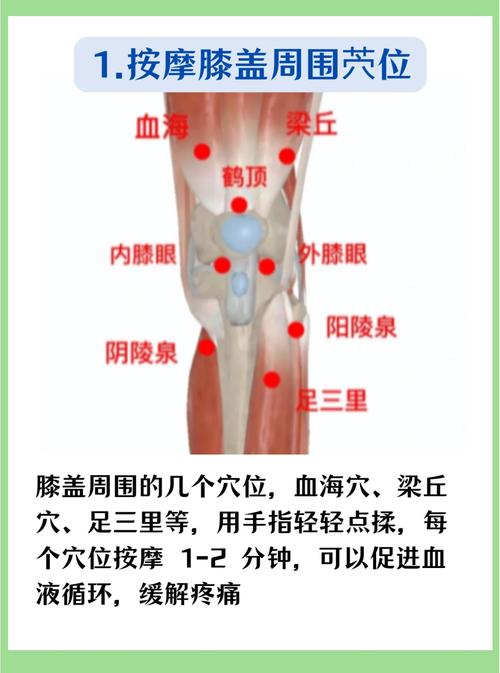 膝盖周围都有什么穴位