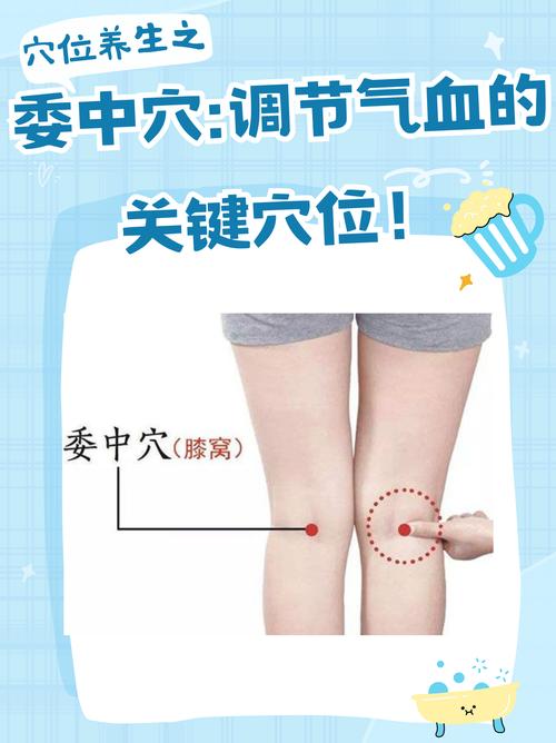 膝盖周围都有什么穴位