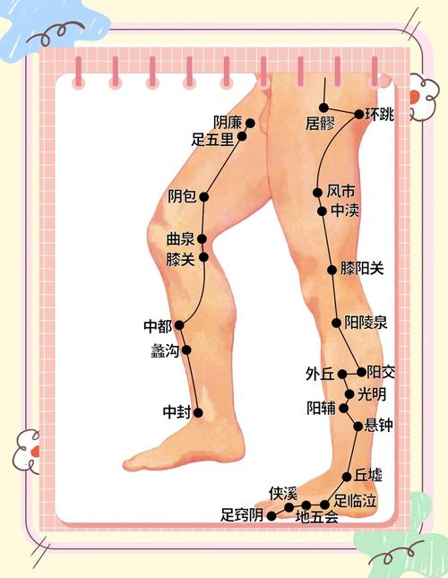 大腿外侧环跳风市穴位
